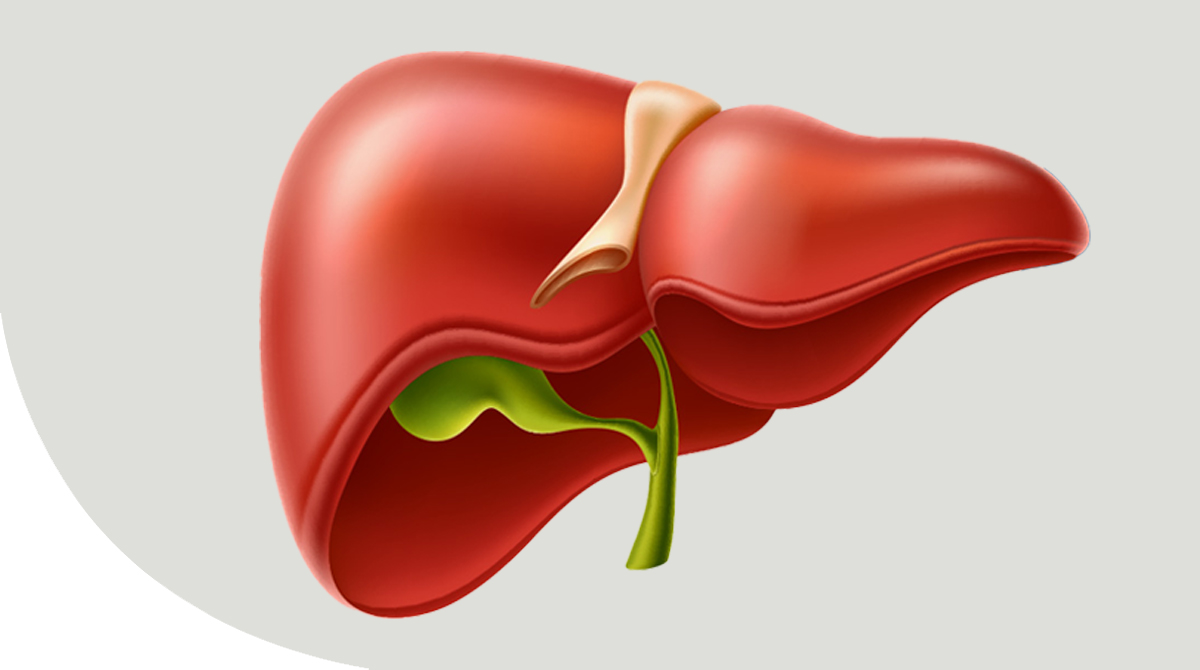 https://irepute.co.in/thangam-care/wp-content/uploads/2023/11/Gall-Bladder-Cancer-1.jpg