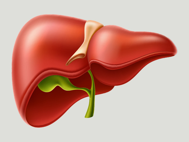 https://irepute.co.in/thangam-care/wp-content/uploads/2023/11/Gall-Bladder-Cancer.jpg